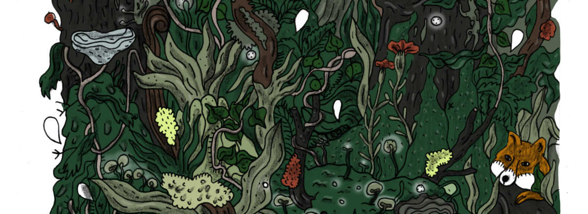 illustration de Kämi Dobï