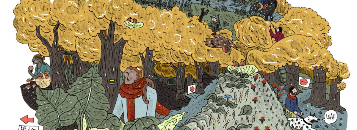Ce qu'on a le droit de faire en forêt