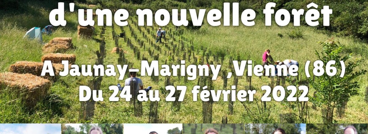 Plantation citoyenne d'une forêt à Jaunay-Marigny dans la Vienne