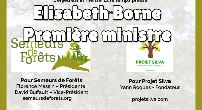 Elisabeth Borne interpellée sur les forêts