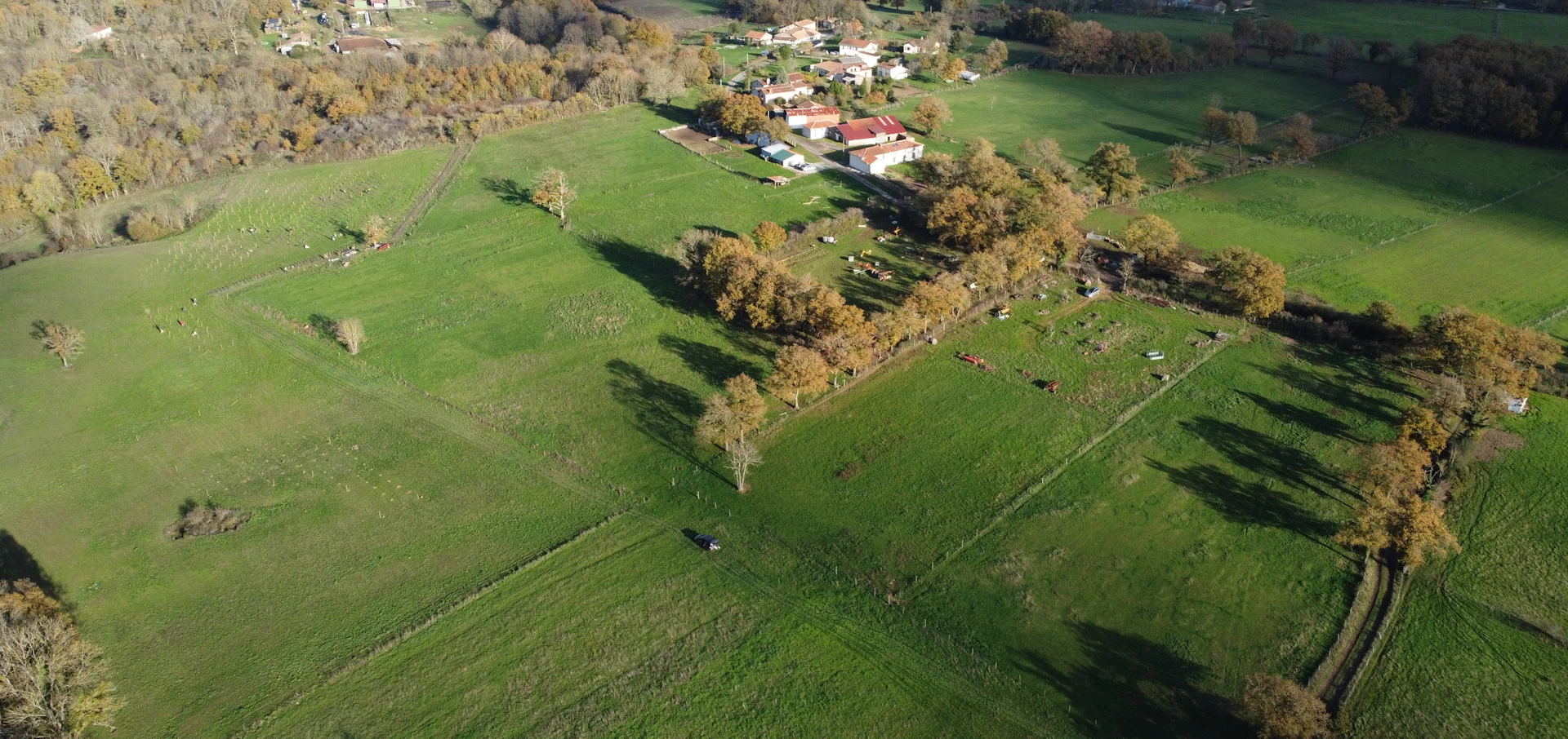 Semeurs de Forêts achète des terrains