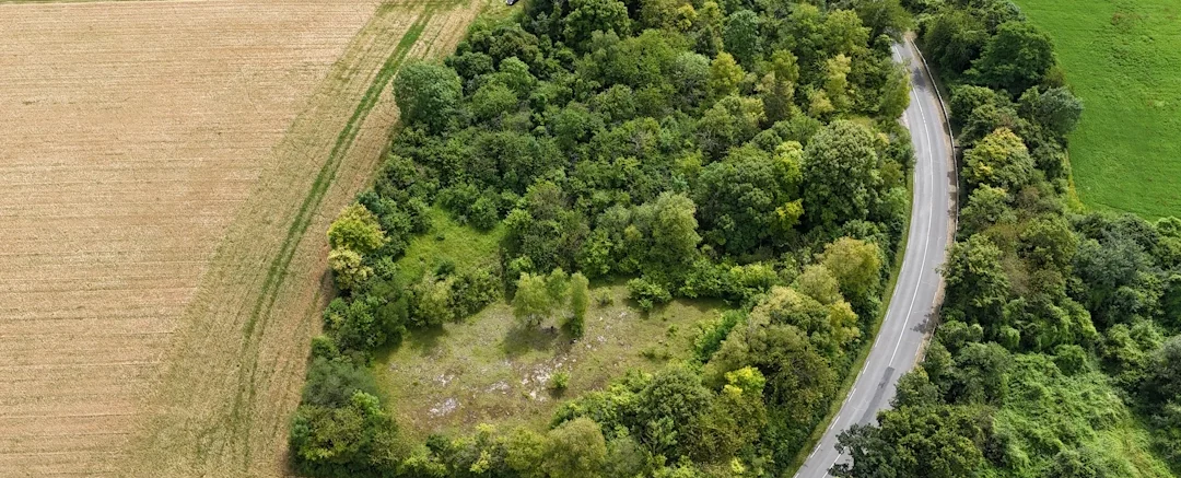 Semeurs de Forêts crée de nouvelles forêts ou les préserve
