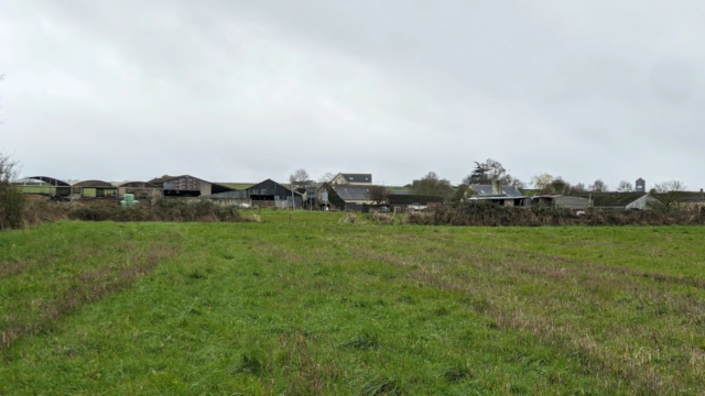 Alentours Louroux-Beconnais exploitation porcine