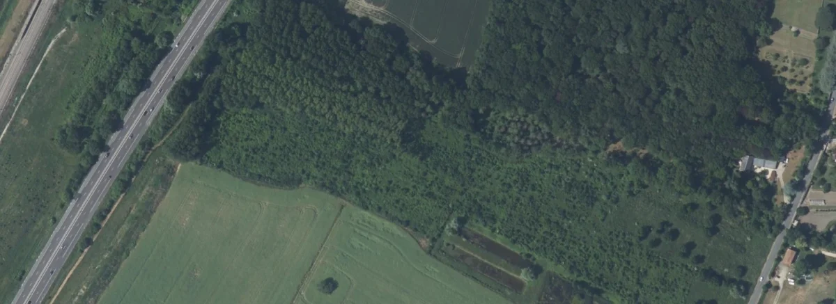 Jaunay-Marigny - terrain de Semeurs de Forêts