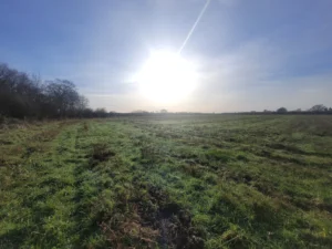 Le Louroux Beconnais terrain de Semeurs de Forêts