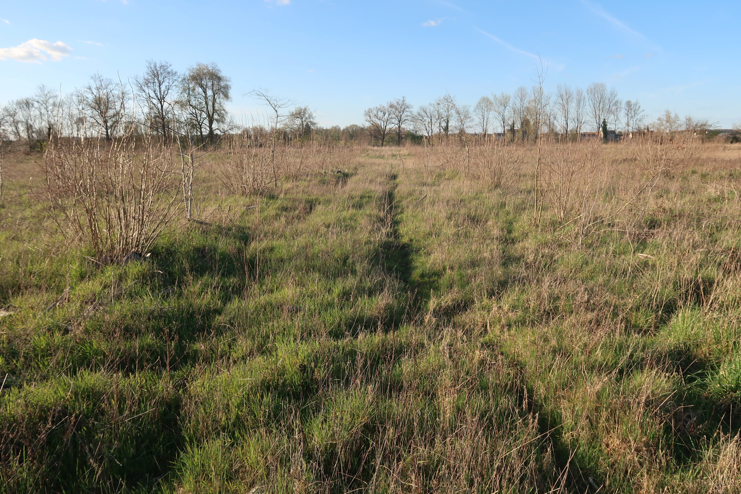 Semeurs de Forêts achète des terrains