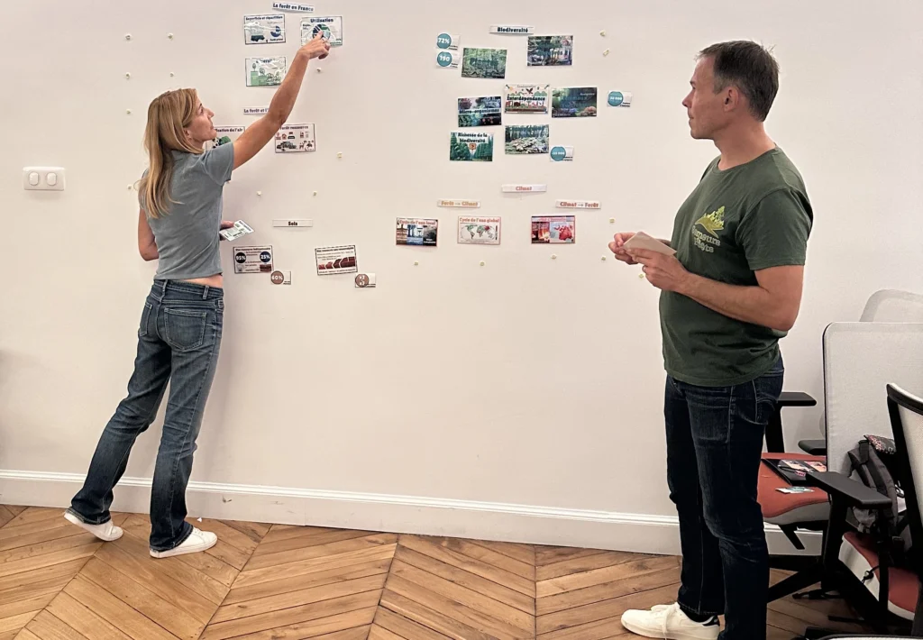 La fresque des forêts - atelier RSE entreprise - Une animation pour vos équipes