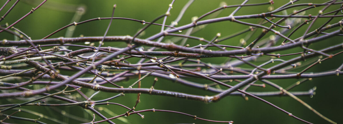 Un réseau d'associations