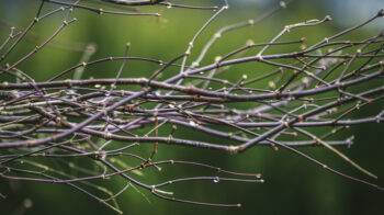 Un réseau d'associations