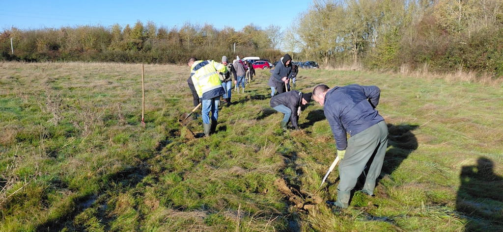 Plantation de novembre 2025 sur le terrain du Louroux Béconnais en Maine-et-Loire de l'association Semeurs de Forêts