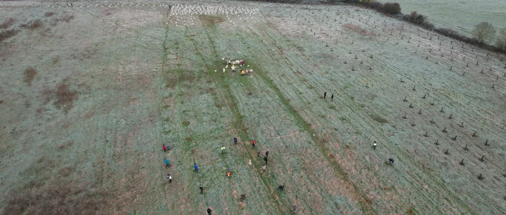 Plantation de novembre 2025 au Louroux Beconnais 01