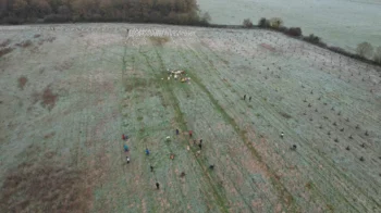Plantation de novembre 2025 au Louroux Beconnais 01
