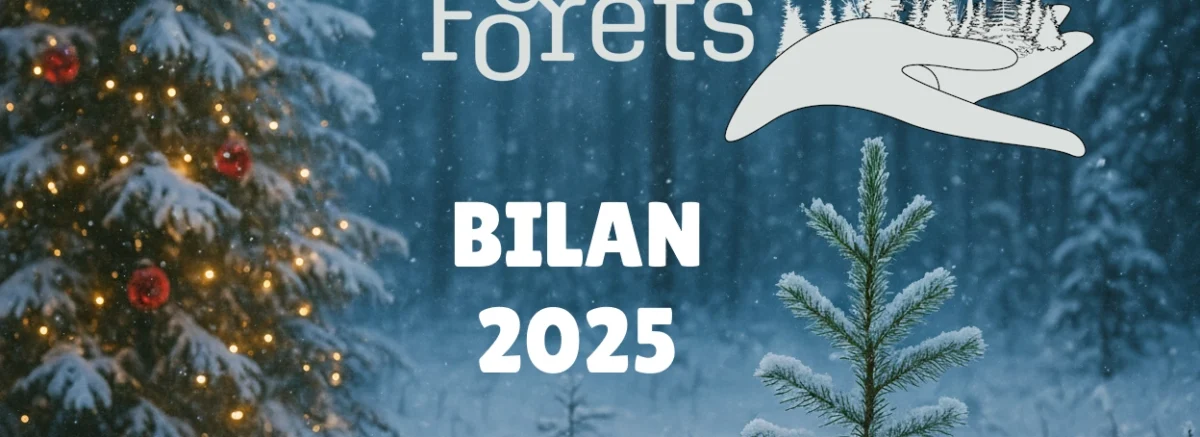 Semeurs de Forêts Bilan 2025