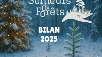 Semeurs de Forêts Bilan 2025