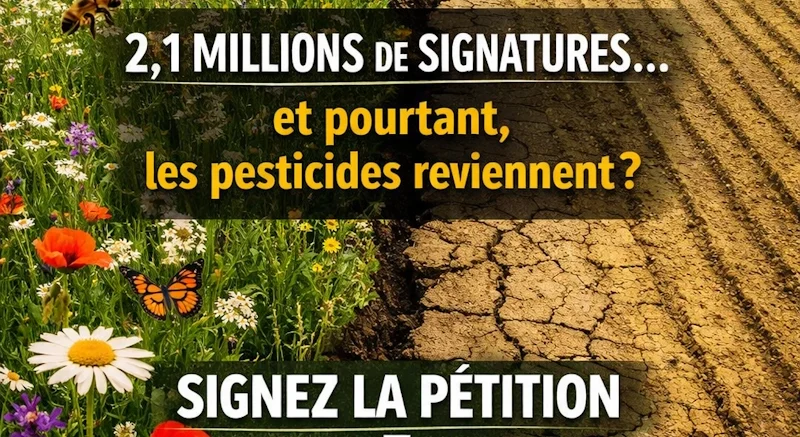 loi duplomb signer la deuxième pétition