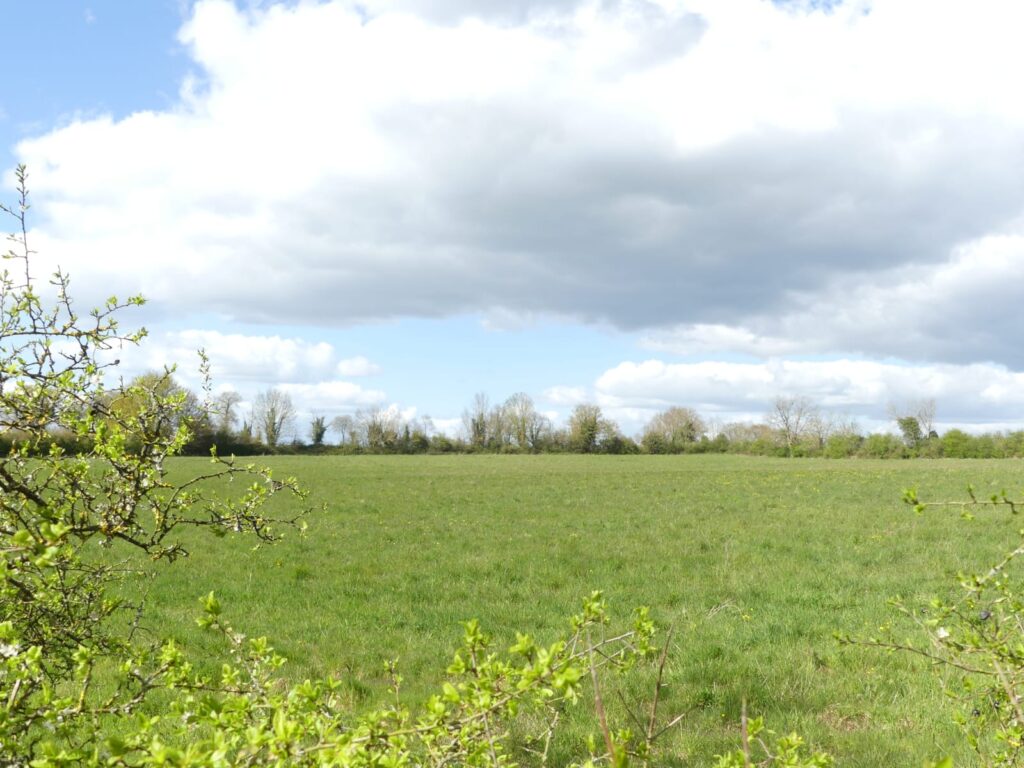 Semeurs de Forêts Saint-Germain-de-Longue-Chaume