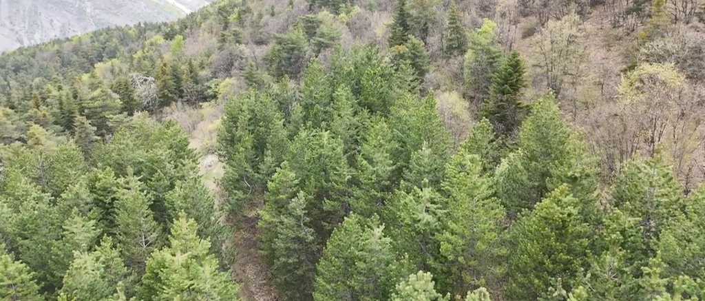 La Roche Des Arnauds